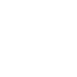 Elfbar