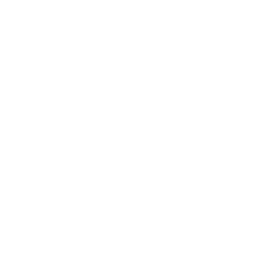 Innokin