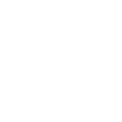 Lost Mary